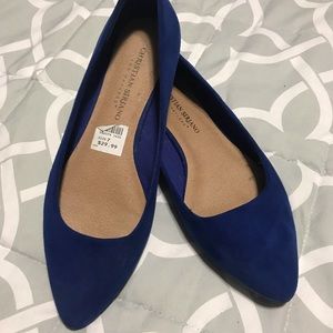 Sapphire Blue Colored Faux Suede Ballet Flats